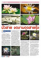 Phuket Newspaper - 01-01-2021 Page 6