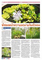 Phuket Newspaper - 12-02-2021 Page 6