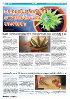 Phuket Newspaper - 17-06-2022 Page 6