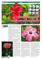 Phuket Newspaper - 29-12-2017 Page 12