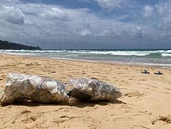 บอกลาถุงพลาสติก ไปกับ ‘Plastic Free Phuket’