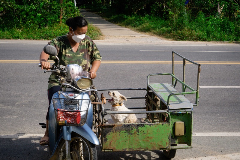 à¸ à¸²à¸ à¸¡à¸¹à¸¥à¸à¸´à¸à¸´à¹à¸à¸·à¹à¸­à¸ªà¸¸à¸à¸±à¸à¹à¸à¸à¸­à¸¢